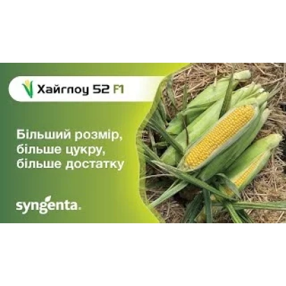 Упаковка насіння кукурудзи Хайгрон 52 F1 з зображенням початків - ХМВ 5327 Х ХМВ 5328