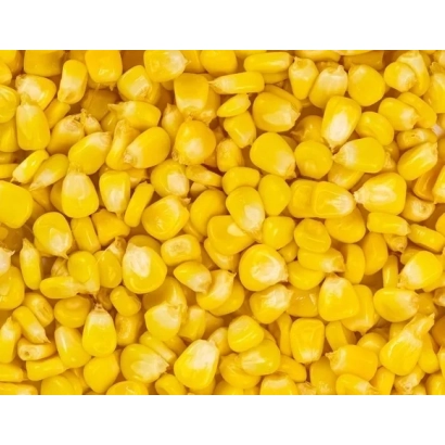 Желтые зерна кукурузы - И 3553