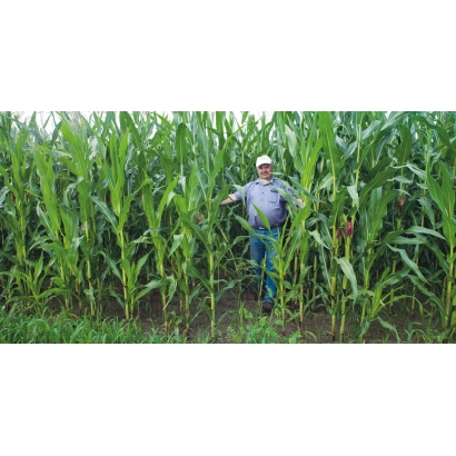 Людина стоїть у полі кукурудзи - ІРОНДЕЛЬ