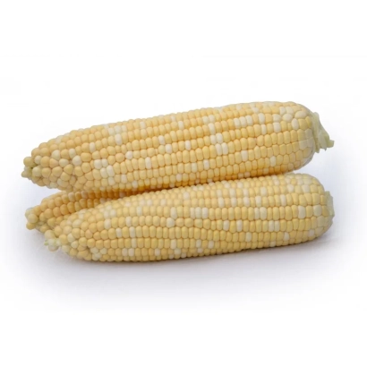 Два початка кукурузы на белом фоне - ЙИБ 09796