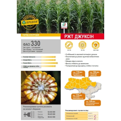 Пакет семян кукурузы РЖТ Джуксин с фото початка и поля