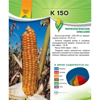 Bag of corn seeds K 150 with variety description and grain composition chart