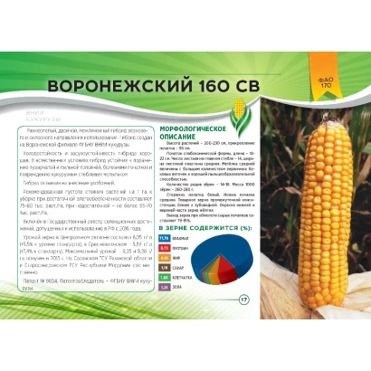 Пакет семян кукурузы Воронежский 160 СВ с описанием характеристик - К 160