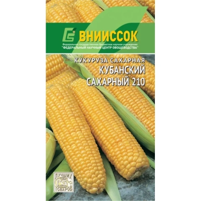 Пакет семян кукурузы Кубанский Сахарный 210 от ВНИИССОК - К 210