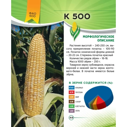 Колос кукурузы K 500 на фоне листьев - К 500