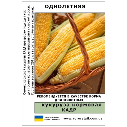 Feed corn KADR in a basket - Cry 443 SV