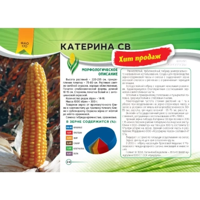 Мішок насіння кукурудзи Катерина СВ з фото початка та описом сорту - Катеринин 176 СВ