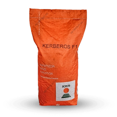 Мешок семян кукурузы Kerberos F1 - Керберос
