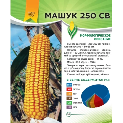 Мешок семян кукурузы Машук 250 СВ