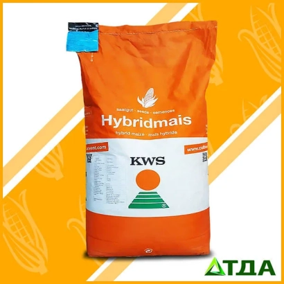 Мешок семян Hybridmais от KWS - Кинемас