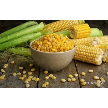 Коробка кукурузы Clifton с початками и зернами на деревянной поверхности - Клифтон