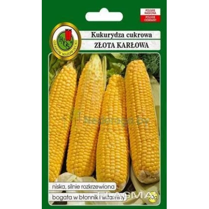 Пакет насіння кукурудзи Золота карлик - КМ 5710