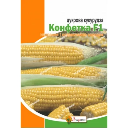 Пакет семян сахарной кукурузы Конфетка Е1 - КОНФИРМАС