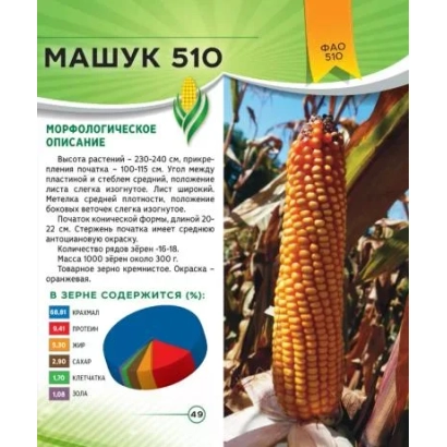 Семенной пакет кукурузы Машук 510 с описанием сорта и фото початка - КОРН 510
