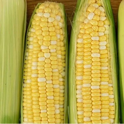 Свежая кукуруза в початках на деревянной поверхности - КР 7024 МВ