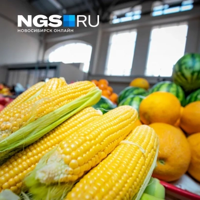 Баннер с кукурузой, апельсинами и арбузами на фоне магазина - КР 795 УМ