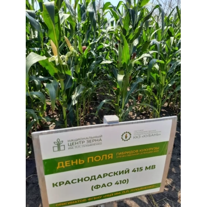 Sign with text KRAZNOYARSKY 410 MV in front of a corn field