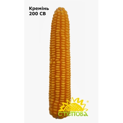 Кукуруза Кремінь 200 СВ