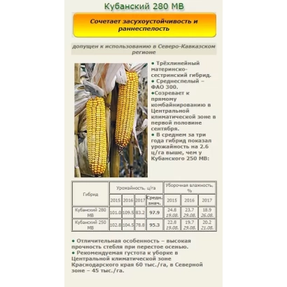 Насіння кукурудзи КУБАНСКИЙ 280 СВ на упаковці з описом характеристик