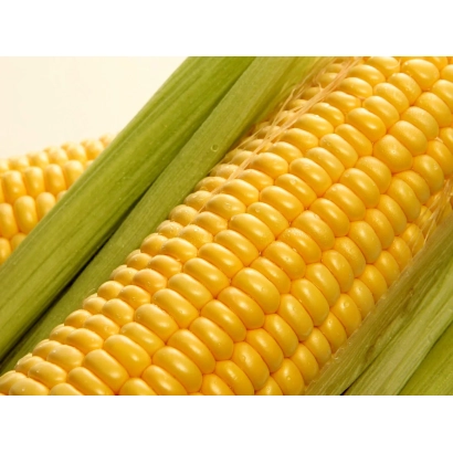 Свежая кукуруза в шелухе - КВ 9 ЕЙ 0015