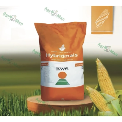 Bag of KWS 019 corn seeds on a wooden stand against a grass background