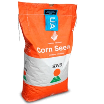 Bag of corn seeds KWS 2323