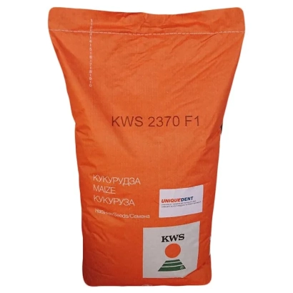 Пакет семян кукурузы KWS 2370 F1 - КВС 2370