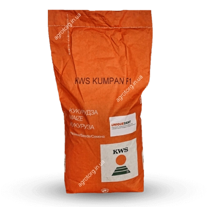 Оранжевый пакет с семенами кукурузы KWS KUMPAN - КВС КУМПАН