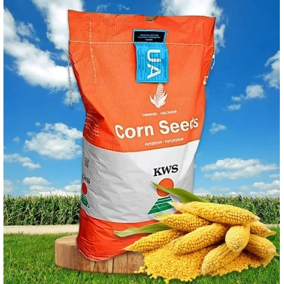 Мешок семян кукурузы KWS NIRVANO на фоне поля - КВС НИРВАНО
