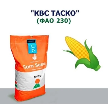 Пакет семян кукурузы KBS TACKO (ФАО 230) - КВС ТАСКО