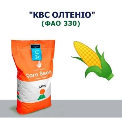Мешок семян кукурузы КВС ОЛТЕНІО (ФАО 330) с изображением початка - КВС ВОЛЬТАРИО