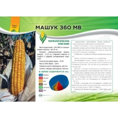 Пакет семян кукурузы Машук 360 МВ с изображением початка и графиком урожайности