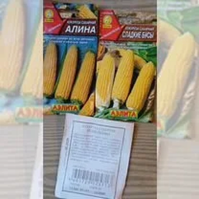 Пакет семян кукурузы АЛИНА с изображением початков - ЛЕН 1825