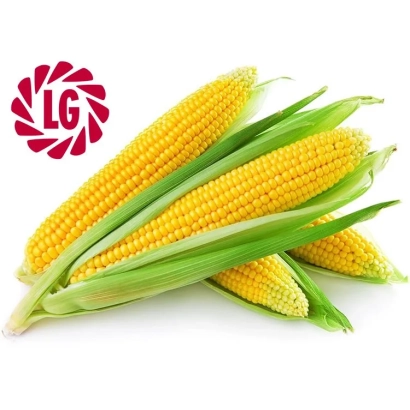 Свіжа кукурудза з логотипом LG - ЛГ30215