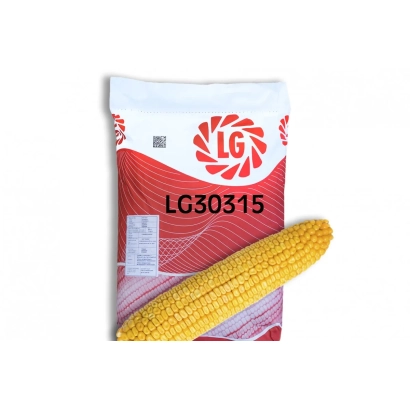 Пакет насіння кукурудзи LG30315 з зображенням початка - ЛГ30315