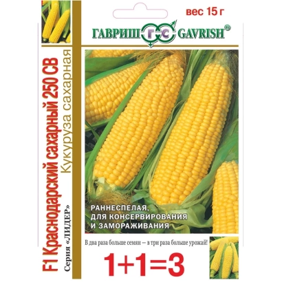 Пакет насіння кукурудзи ЛІДЕР 250 СВ вагою 15 г