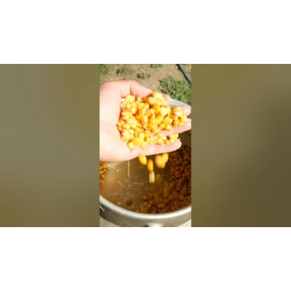 Ручка держит желтые зерна кукурузы над металлическим ведром - ЛИМББХ 968 С