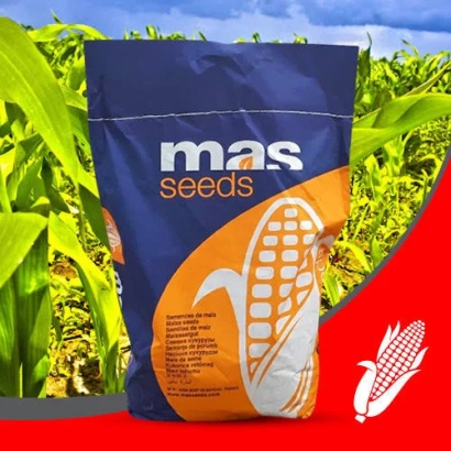 Мешок семян мас-сиидс с изображением кукурузы на фоне поля - ЛУКАКУ