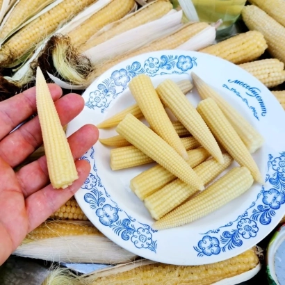 Corn cobs on a plate and in hand - MALYSH MV