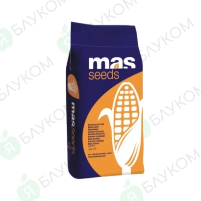 Мешок семян кукурузы MAS 20A от бренда MAS Seeds - МАС 20А