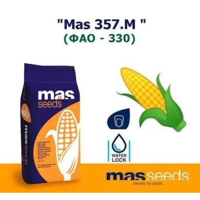 Мас 357.M — пакет семян кукурузы с изображением початка и логотипом mas seeds - МАС 357М