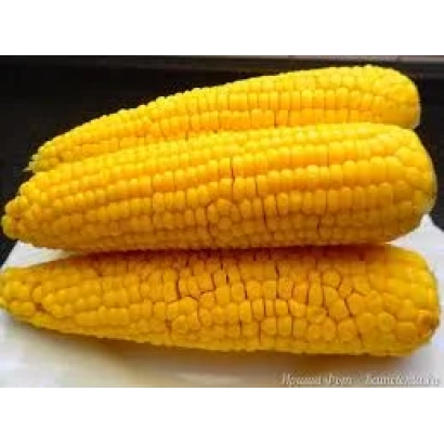 Три початка кукурузы на белой поверхности - МАС 39Т