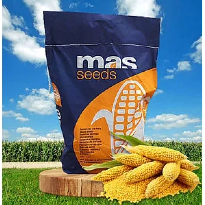 Пакет семян кукурузы MAS 55F на деревянном подставке с початками кукурузы на фоне поля - МАС 55Ф