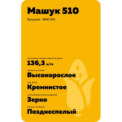 Пакет насіння кукурудзи Машук 510