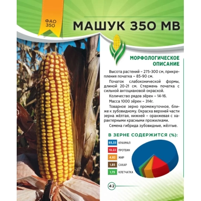 Пакет семян кукурузы Машук 350 МВ с изображением початка - МИХАИЛ МВ