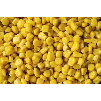 Жовті зерна кукурудзи сорту МК 396 СВ