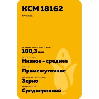 Желтый пакет с семенами кукурузы KCM 18162 - Музи КС