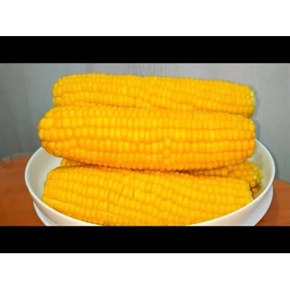 Три початка вареной кукурузы в белой миске - НА 36 ЗС