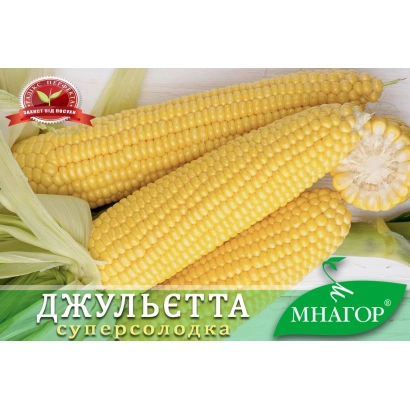 Желтая кукуруза сорта Джульетта на зеленом фоне - НАРДЖИЛО