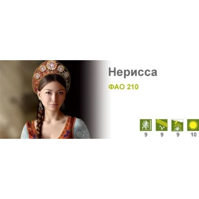 Женщина в традиционном головном уборе рядом с названием продукта Нерисса и иконками кукурузы